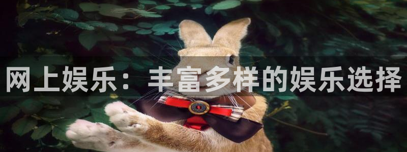 华信娱乐,apk.：网上娱乐：丰富多样的娱乐选择