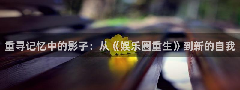 华信娱乐吧：重寻记忆中的影子：从《娱乐圈重生》到新的自我