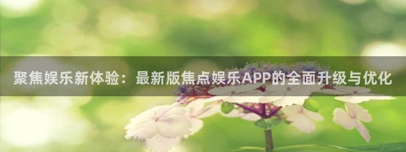 华信娱乐预测pc在线预测网址：聚焦娱乐新体验：最新版焦点娱乐APP的全面升级与优化