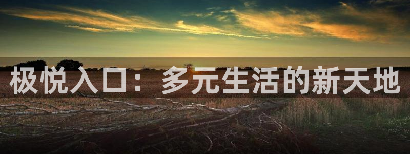 华信娱乐app哪个模式容易赢：极悦入口：多元生活的新天地