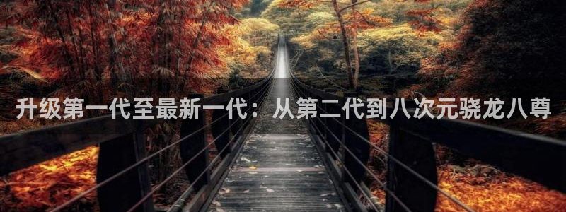 华信娱乐app入口：升级第一代至最新一代：从第二代到八次元骁龙八尊