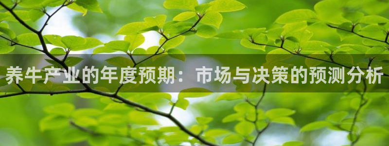 壹号平台下载安装官网：养牛产业的年度预期：市场与决策的预测分析