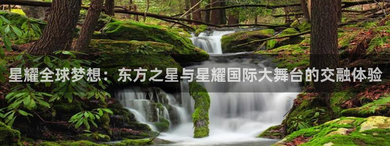 华信娱乐app哪个模式容易赢：星耀全球梦想：东方之星与星耀国际大舞台的交融体验