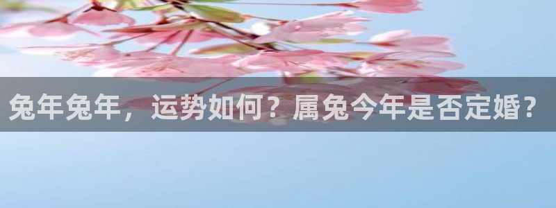 华信娱乐充值怎么退款：兔年兔年，运势如何？属兔今年是否定婚？