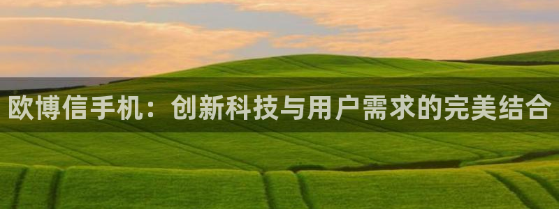 壹号app下载官网娱乐：欧博信手机：创新科技与用户需求的完美结合