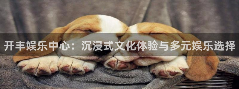 下载华信娱乐app：开丰娱乐中心：沉浸式文化体验与多元娱乐选择