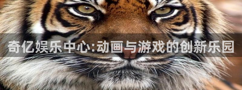 壹号大舞台下载链接：奇亿娱乐中心:动画与游戏的创新乐园