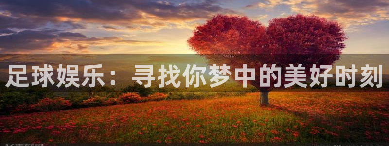 华信娱乐.com：足球娱乐：寻找你梦中的美好时刻