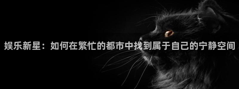 壹号大舞台下载链接：娱乐新星：如何在繁忙的都市中找到属于自己的宁静空间