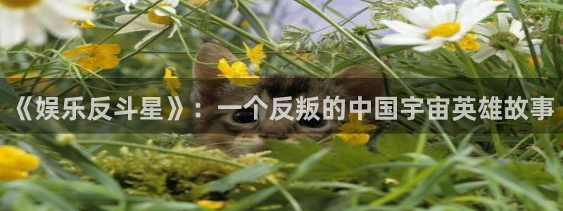 华信娱乐下载入口