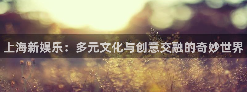 壹号top娱乐：上海新娱乐：多元文化与创意交融的奇妙世界