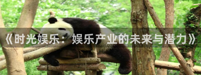 壹号官网app下载安装：《时光娱乐：娱乐产业的未来与潜力》