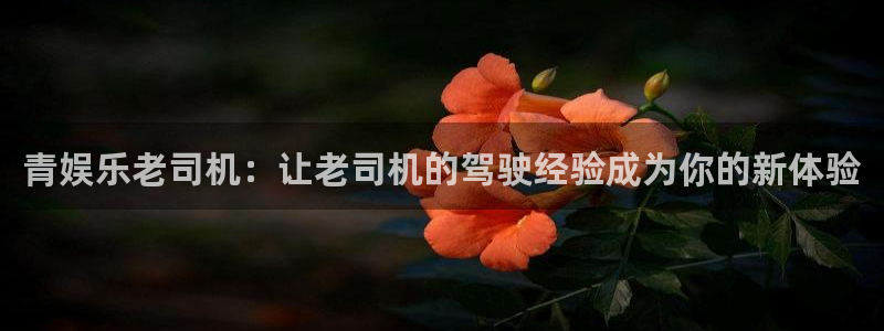华信娱乐quan28.cc：青娱乐老司机：让老司机的驾驶经验成为你的新体验