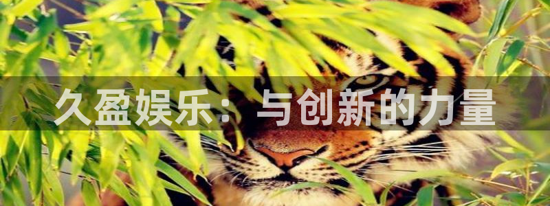 伟德国际集团 壹号(one game)：久盈娱乐：与创新的力量