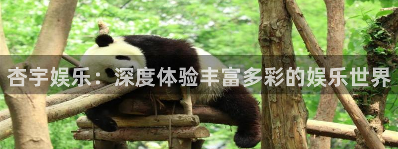 华信娱乐app官网下载：杏宇娱乐：深度体验丰富多彩的娱乐世界