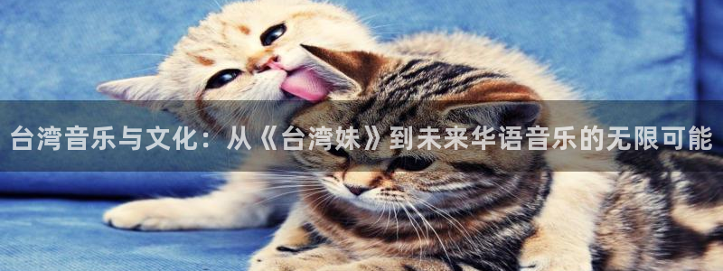 华信娱乐ccmpc麻将胡了：台湾音乐与文化：从《台湾妹》到未来华语音乐的无限可能