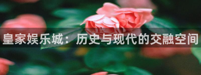华信娱乐电子游戏