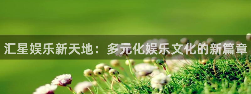 华信娱乐官方app下载安装：汇星娱乐新天地：多元化娱乐文化的新篇章