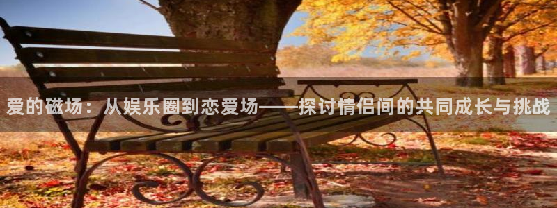 华信娱乐强制退款流程详解：爱的磁场：从娱乐圈到恋爱场——探讨情侣间的共同成长与挑战