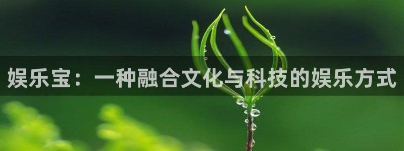 华信娱乐：娱乐宝：一种融合文化与科技的娱乐方式