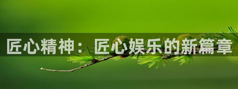 富联娱乐在线注册：匠心精神：匠心娱乐的新篇章