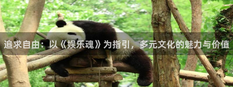 华信娱乐注册网站：追求自由：以《娱乐魂》为指引，多元文化的魅力与价值