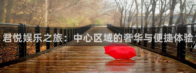 广告公司代理平台：君悦娱乐之旅：中心区域的奢华与便捷体验