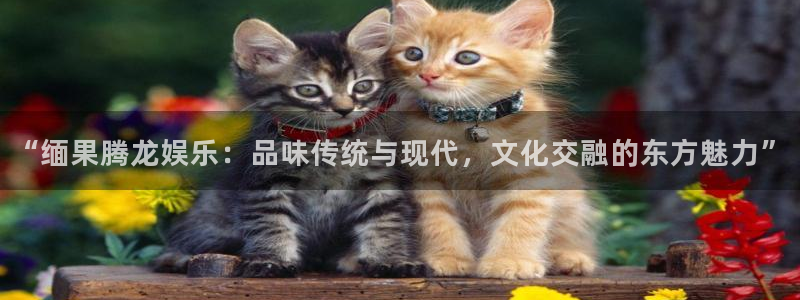 华信娱乐电子娱乐官网下载：“缅果腾龙娱乐：品味传统与现代，文化交融的东方魅力”