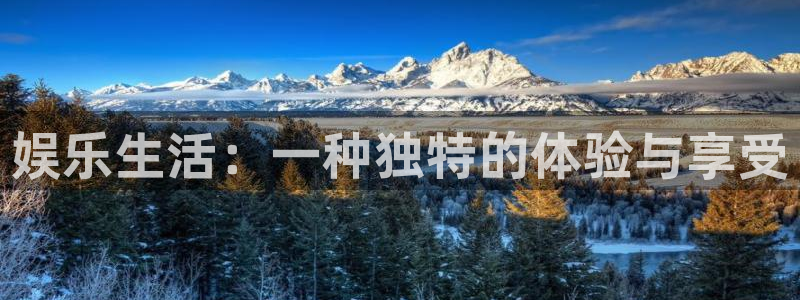 华信娱乐平台链接：娱乐生活：一种独特的体验与享受