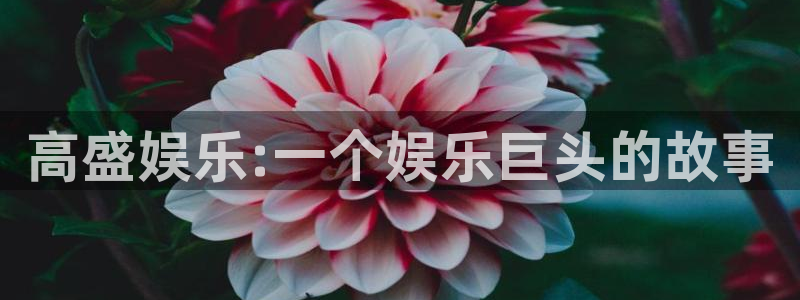 壹号app下载官网娱乐：高盛娱乐:一个娱乐巨头的故事