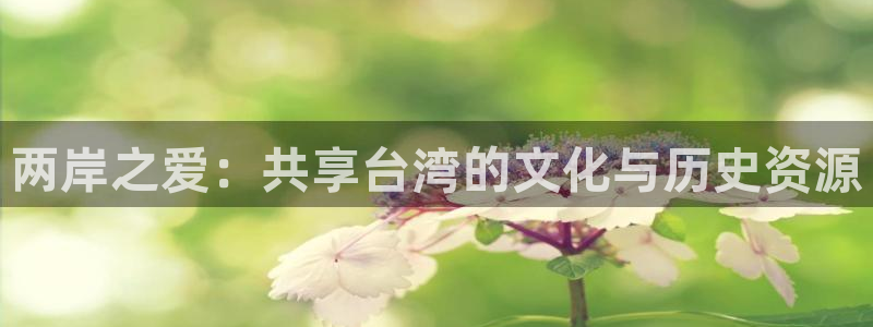 华信娱乐登录：两岸之爱：共享台湾的文化与历史资源