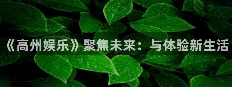 华信2娱乐注册：《高州娱乐》聚焦未来：与体验新生活