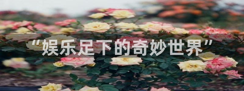 壹号国际app免费下载安装：“娱乐足下的奇妙世界”