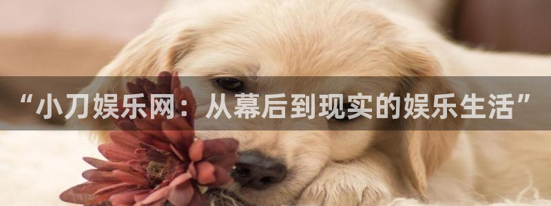 华信娱乐麻将胡了