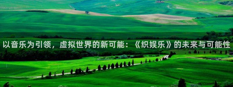 华信娱乐平台链接：以音乐为引领，虚拟世界的新可能：《织娱乐》的未来与可能性
