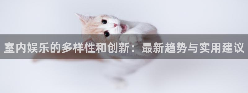 壹号下载官网入口：室内娱乐的多样性和创新：最新趋势与实用建议