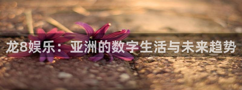 华信娱乐游戏官网版：龙8娱乐：亚洲的数字生活与未来趋势