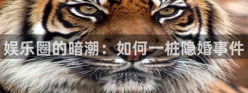 华信娱乐官网版：娱乐圈的暗潮：如何一桩隐婚事件